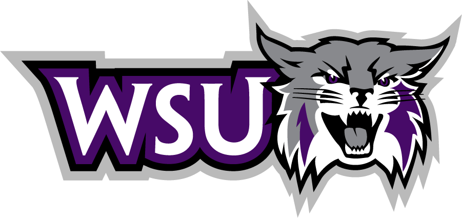 Weber State Wildcats 2012-Pres Secondary Logo v4 iron on transfers for T-shirts